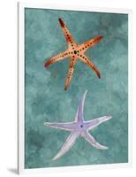 Twin Starfish III-Alicia Ludwig-Framed Art Print