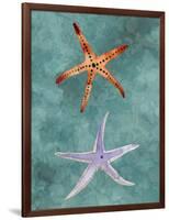 Twin Starfish III-Alicia Ludwig-Framed Art Print