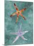 Twin Starfish III-Alicia Ludwig-Mounted Art Print