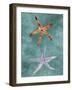 Twin Starfish III-Alicia Ludwig-Framed Art Print