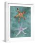 Twin Starfish III-Alicia Ludwig-Framed Art Print