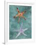 Twin Starfish III-Alicia Ludwig-Framed Art Print