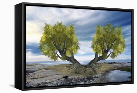 Twin Tree-Ata Alishahi-Framed Stretched Canvas