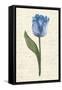 Twin Tulips III-Grace Popp-Framed Stretched Canvas