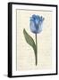 Twin Tulips III-Grace Popp-Framed Art Print