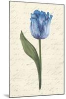 Twin Tulips III-Grace Popp-Mounted Art Print