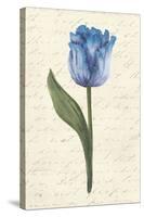 Twin Tulips III-Grace Popp-Stretched Canvas