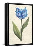 Twin Tulips IV-Grace Popp-Framed Stretched Canvas