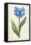 Twin Tulips IV-Grace Popp-Framed Stretched Canvas