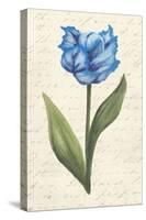 Twin Tulips IV-Grace Popp-Stretched Canvas