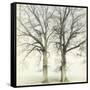 Twin-Viviane Fedieu Daniel-Framed Stretched Canvas