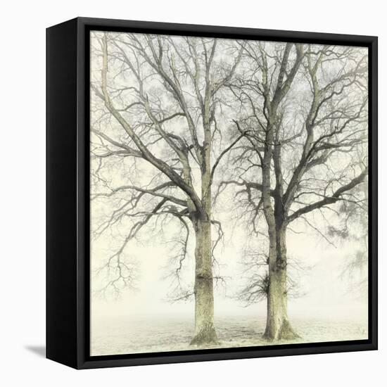 Twin-Viviane Fedieu Daniel-Framed Stretched Canvas