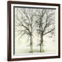 Twin-Viviane Fedieu Daniel-Framed Photographic Print