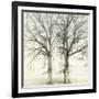 Twin-Viviane Fedieu Daniel-Framed Photographic Print