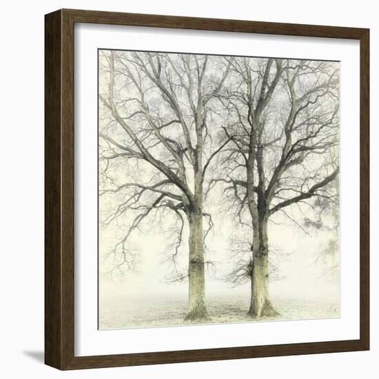 Twin-Viviane Fedieu Daniel-Framed Photographic Print