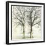 Twin-Viviane Fedieu Daniel-Framed Photographic Print