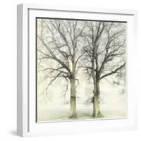 Twin-Viviane Fedieu Daniel-Framed Photographic Print