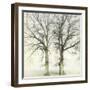 Twin-Viviane Fedieu Daniel-Framed Photographic Print