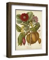 Twining Botanicals I-Elizabeth Twining-Framed Art Print