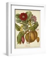 Twining Botanicals I-Elizabeth Twining-Framed Art Print