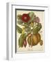 Twining Botanicals I-Elizabeth Twining-Framed Art Print