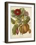 Twining Botanicals I-Elizabeth Twining-Framed Art Print