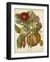 Twining Botanicals I-Elizabeth Twining-Framed Art Print