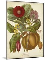 Twining Botanicals I-Elizabeth Twining-Mounted Art Print