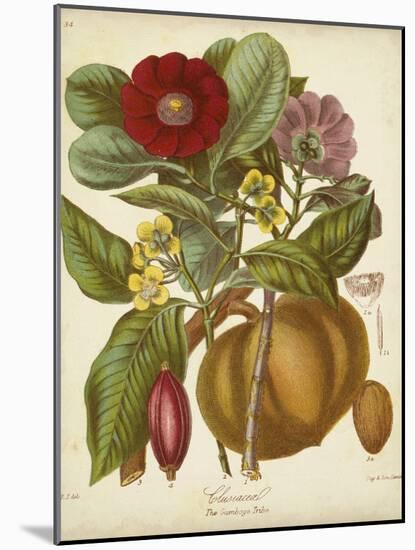 Twining Botanicals I-Elizabeth Twining-Mounted Art Print