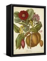 Twining Botanicals I-Elizabeth Twining-Framed Stretched Canvas