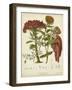 Twining Botanicals II-Elizabeth Twining-Framed Art Print