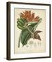 Twining Botanicals III-Elizabeth Twining-Framed Giclee Print