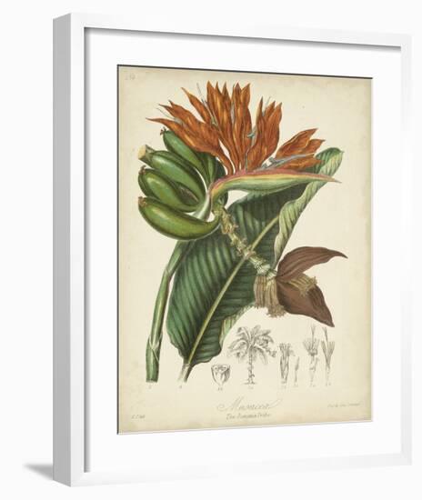 Twining Botanicals III-Elizabeth Twining-Framed Giclee Print