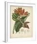 Twining Botanicals III-Elizabeth Twining-Framed Giclee Print