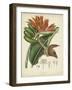 Twining Botanicals III-Elizabeth Twining-Framed Art Print