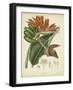 Twining Botanicals III-Elizabeth Twining-Framed Art Print