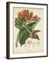 Twining Botanicals III-Elizabeth Twining-Framed Art Print