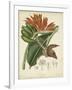 Twining Botanicals III-Elizabeth Twining-Framed Art Print