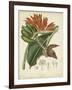 Twining Botanicals III-Elizabeth Twining-Framed Art Print