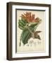 Twining Botanicals III-Elizabeth Twining-Framed Art Print