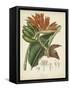 Twining Botanicals III-Elizabeth Twining-Framed Stretched Canvas