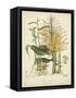 Twining Botanicals VII-Elizabeth Twining-Framed Stretched Canvas