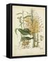 Twining Botanicals VII-Elizabeth Twining-Framed Stretched Canvas