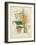 Twining Botanicals VII-Elizabeth Twining-Framed Art Print