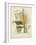 Twining Botanicals VII-Elizabeth Twining-Framed Art Print