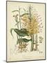Twining Botanicals VII-Elizabeth Twining-Mounted Art Print