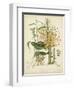 Twining Botanicals VII-Elizabeth Twining-Framed Art Print