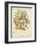 Twining Botanicals VIII-Elizabeth Twining-Framed Art Print