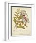 Twining Botanicals VIII-Elizabeth Twining-Framed Art Print