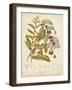 Twining Botanicals VIII-Elizabeth Twining-Framed Art Print